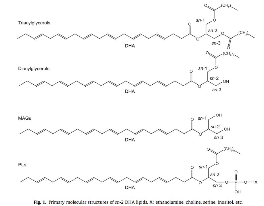 圖片7.png 圖片7.png